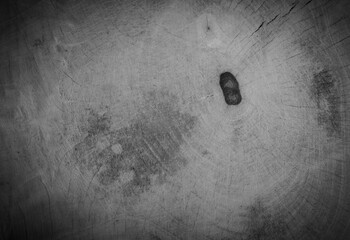 gray cross sectional wood grain background