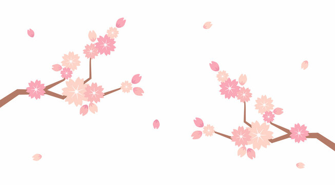 Beautiful romantic illustration of pink sakura flowers with falling petals. Japanese Cherry blossom. Floral banner with delicate sakura flowers. Falling petals, flowers.