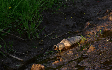 Stara butelka porzucona na brzegu rzeki - obrazy, fototapety, plakaty