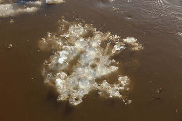 ice floe floating in the water. spring flood