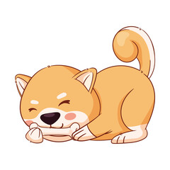 shiba inu with food