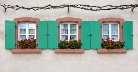 Drei Fenster mit Blumenschmuck