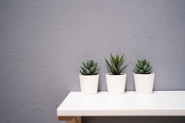 Artificial plant in white plastic pot on white shelf with concrete background