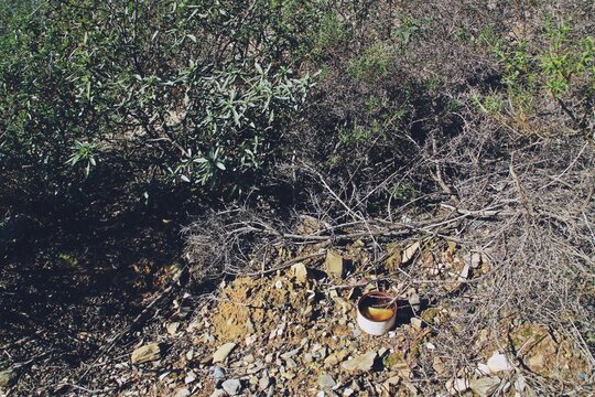Lata de conservas tirada en un campo y descolorida y oxidada en Sanl&uacute;car de Guadiana, Espa&ntilde;a. Basura abandonada hace mucho entre arbustos, lo que da una idea de cu&aacute;nto dura la basura en la naturaleza.