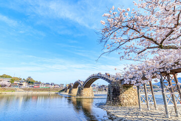 Sakura en Kintaikyo-brug Yamaguchi-ken Iwakuni-stad.