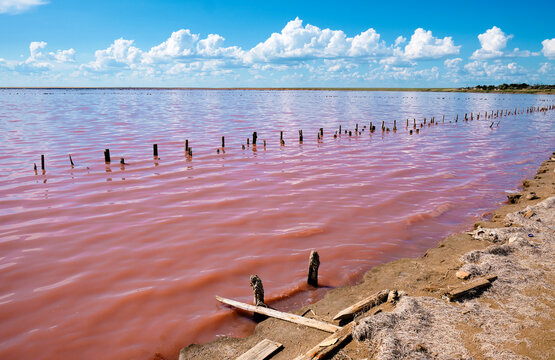 Pink Lake is a salt lake in Kherson region in Ukraine. Landscape.