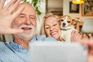 Couple of seniors with dog have fun video chat