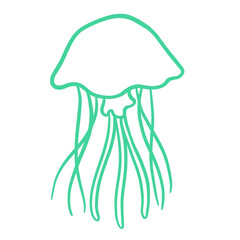 Jellyfish