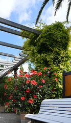 Palmengarten in der Kurstadt Bad Pyrmont, Niedersachsen