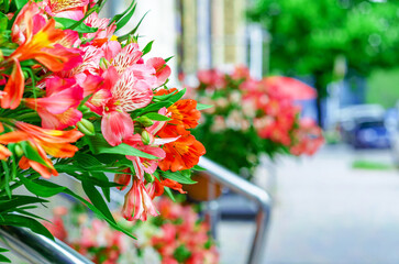 Astromeria. Bright bouquet of colored flowers. Blurred background.