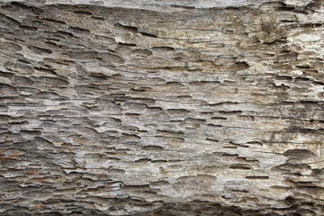background pattern on wooden floor