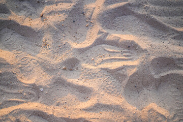 Fototapeta na wymiar Sand on the beach for background. Brown beach sand texture as background. Sand texture background. Brown desert pattern from tropical beach. Close-up. Selective Focus