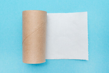 Empty toilet paper roll. The last sheet of toilet paper. Blue background. Emergency situation. Flat...