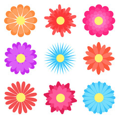 Set simple summer flowers clipart vector illustration. Abstract floral isolated elements. Botanical natural colorful decoration for designs