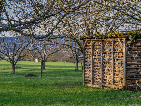 Aufgesetztes Brennholz im Fr&uuml;hjahr