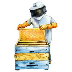 The beekeeper in the apiary takes out the honeycomb from the beehive. Hand drawn watercolor illustration isolated on white background