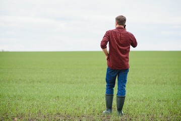 Naklejka na ściany i meble Farmer standing in field with green plants