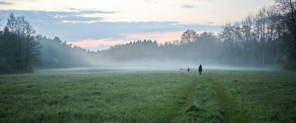 Naklejka na ściany i meble Family with children walking in a foggy meadow
