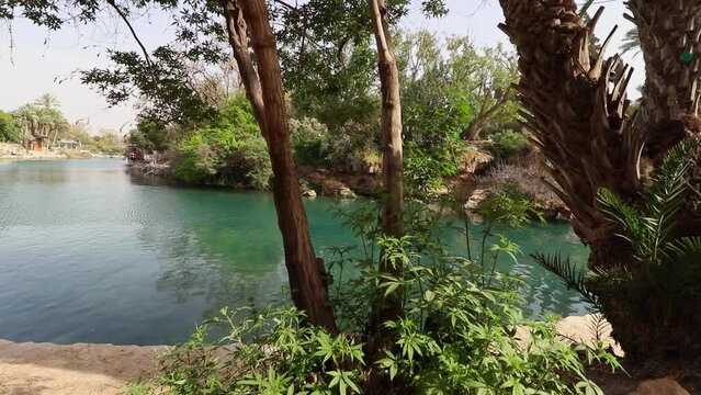 A pool of clear and clean turquoise water in the Gan Hashlosha Nature Reserve in the Valley of the Springs - Israel
