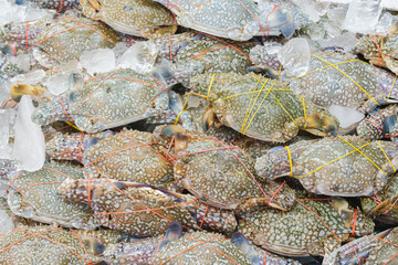 freezee crabb food in dinner