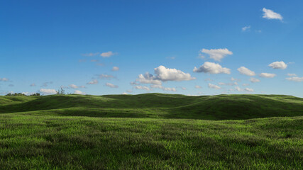 Fototapeta na wymiar Idyllische Landschaft mit grüner Wiese und Hügeln