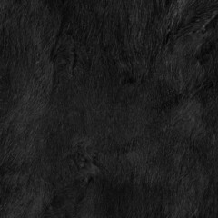 Black long fur texture background. Scrapbook paper