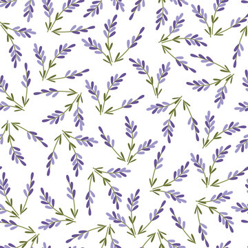 lavender pattern seamless. Cute print for printing on textiles, clothing, packaging. Marketing of lavender products. Vector illustration, hand drawn