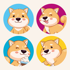 four shiba inu animals