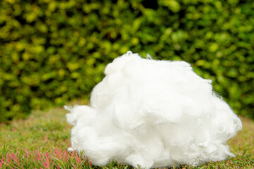 Polyester stable fiber with blurred green background