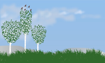 Trees and birds, green grass,  blue sky in summer