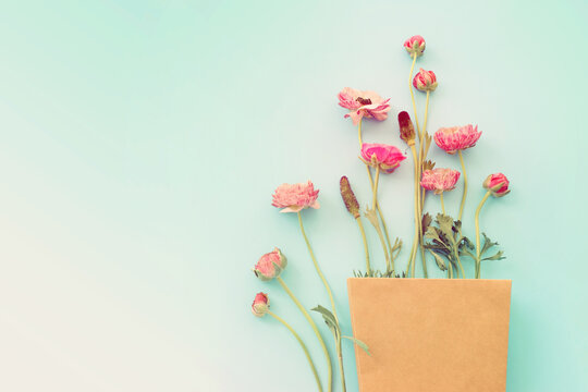 Top view image of pink flowers composition over blue background