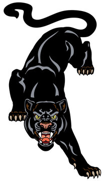 The roaring panther climbs down looking straight ahead. Aggressive black leopard. Front view. Tattoo style vector illustration