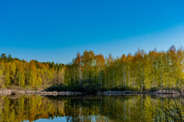 Fototapeta na wymiar Forest and forest lakes in Samarskaya Luka National Park!