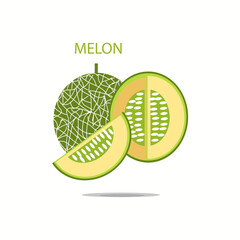 Cantaloupe melon, fruit vector illustration