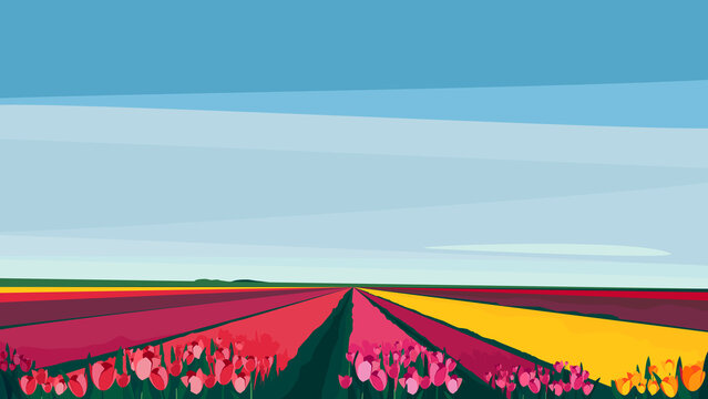 Field with different tulips. Beautiful nature landscape.