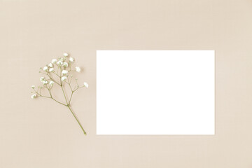Wedding invitation or greeting card mockup with a white flower on a beige background.