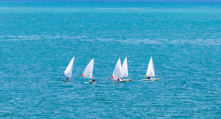 Group of white dinghy optimist sailboat sailing in the open sea with sunny blue turquoise color for summer activities and vacation - obrazy, fototapety, plakaty