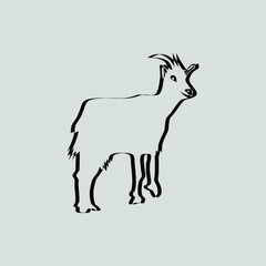 goat vinyl illustration