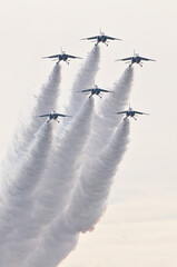 ブルーインパルス　岐阜基地