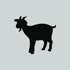 goat on a white background