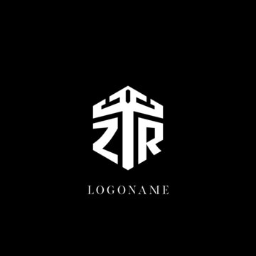 Initial letter ZR hexagon shape logo geometric style