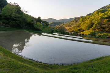 日本の岡山県美咲町の大垪和西の美しい棚田