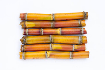 Sugar cane on white background.