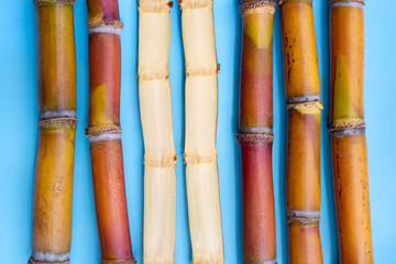 Sugar cane on blue background.