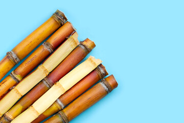 Sugar cane on blue background.