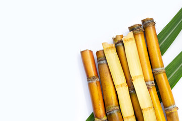 Sugar cane on white background.
