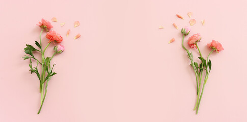 Top view image of pink flowers composition over pastel background