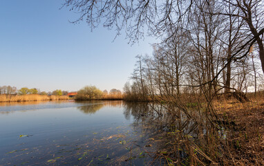 Fototapeta na wymiar Dutch lake at the beginning of the spring season. The reeds are still yellowed and the branches of the trees are still bare. The photo was taken near the village of Elshout, province of North Brabant.