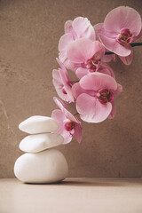 A branch of a pink orchid on a beige stone background with a decoration of white stones. Front view