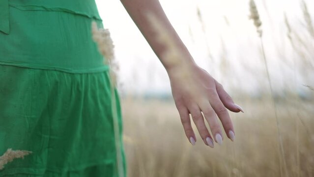 girl hand close-up in the field in nature the park. freedom clean air unity with nature. free girl touching the grass in the park in the field. the hand of sun a girl in a dress walks on the grass